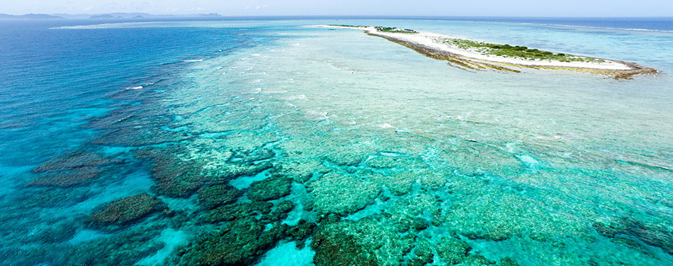 Great Barrier Reef - Australia - Collette