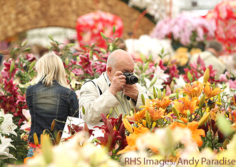 Show Flowers - Collette