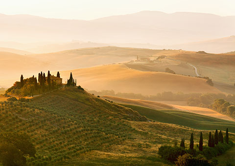 collette tours of tuscany