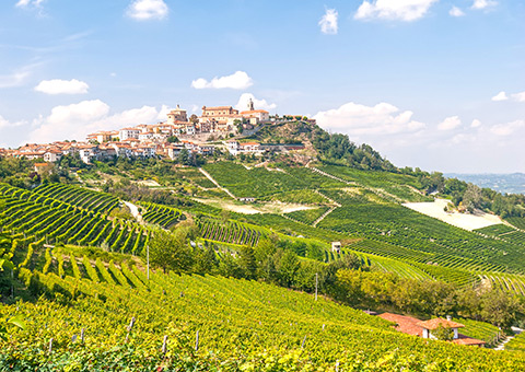 LaMorra_59795686_FotoliaRF_24145_480x340