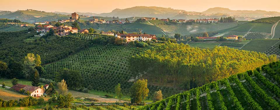 Northern Italy and the Treasures of Piedmont - Collette