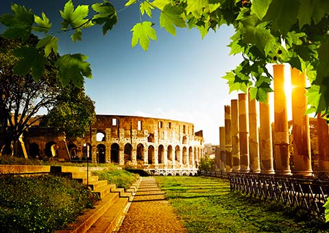 Rome Colosseum - Collette