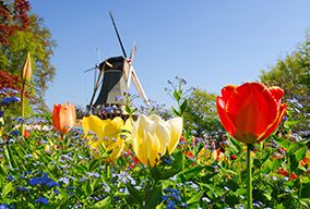 DutchWindmill_14920059_FotoliaRF_2221_284x192