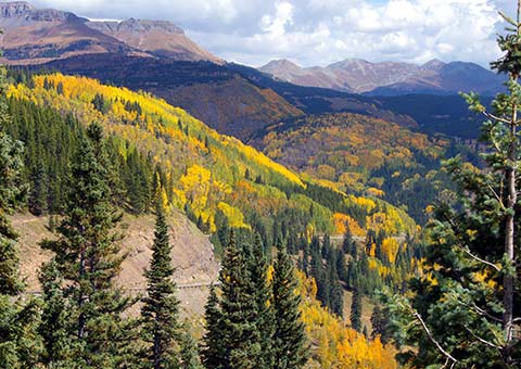 Colorado - Collette