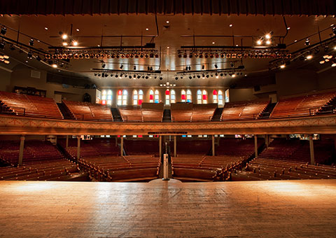 RymanFromStage_VEN_9049_480x340