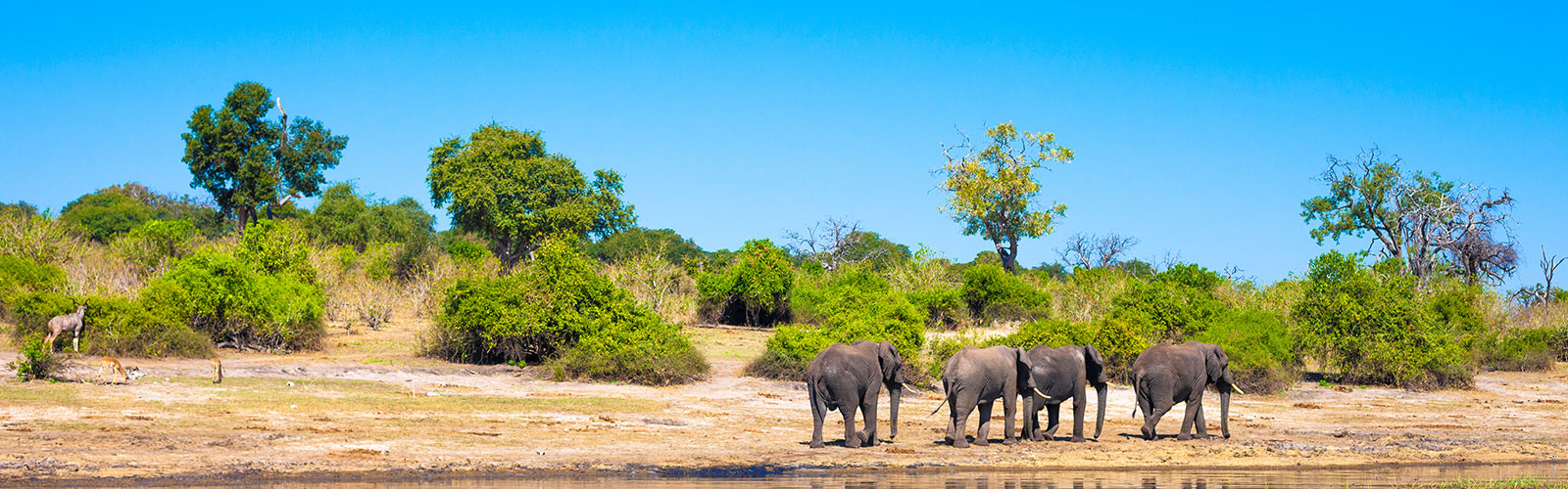 Wilderness of Southern Africa: Safari by Land & Water