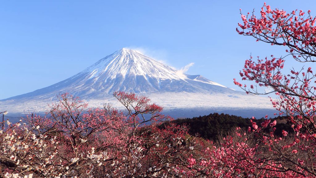 mt fuji