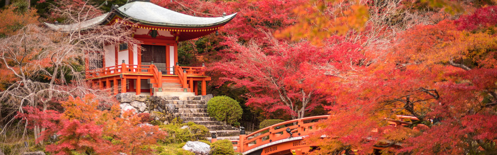 Experience the Best of Kyoto in 12 Days