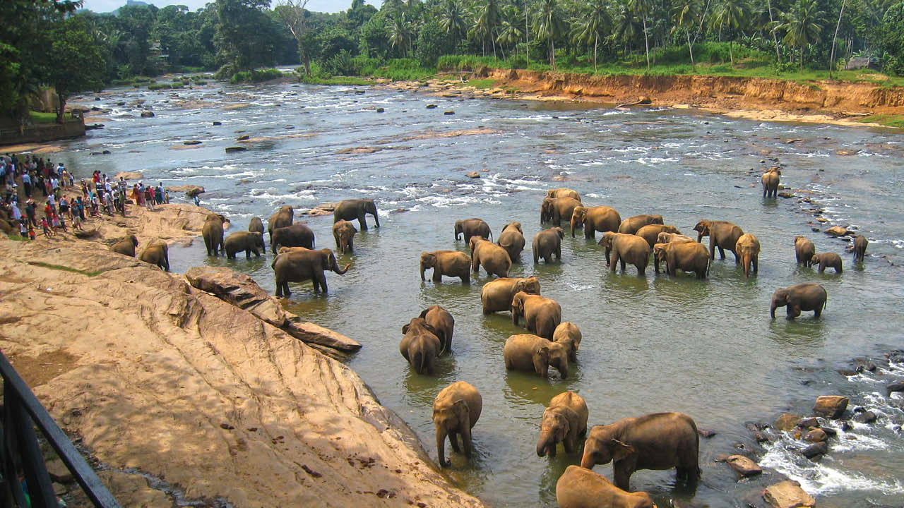 Sri Lanka ms2