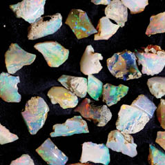natl opal collection