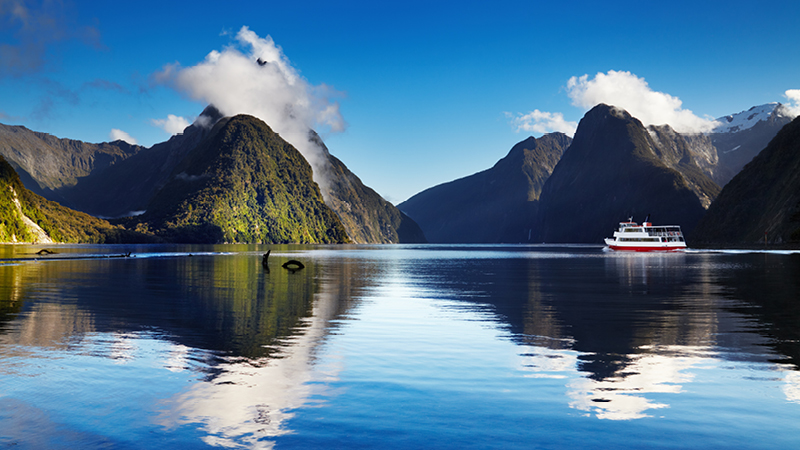 Milford Sound 23