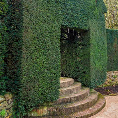 hidcote manor garden ukAdobeStock 127066679