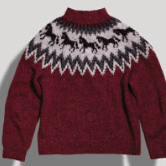 iceland sweater AdobeStock 129306458