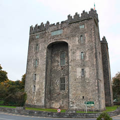 Bunratty Castle CVO 18352