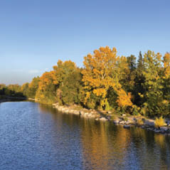princes park