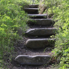 reader rock garden