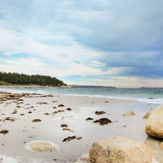 Crystal Crescent Beach