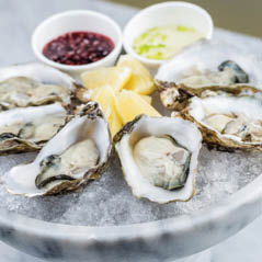 oysters