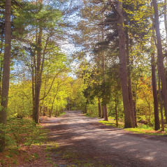 point pleasant park