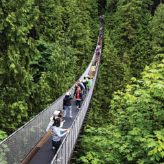capilano bridge