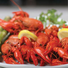 crawfish
