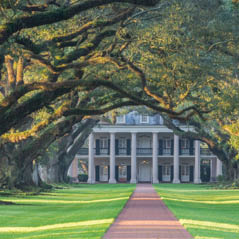 oak alley plantation