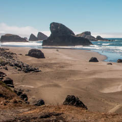 Oregon Sand Dunes