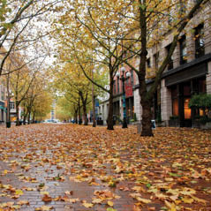 pioneer square
