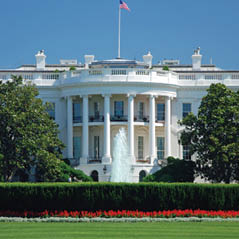 white house