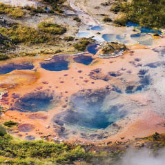 artists paintpots