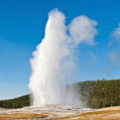 old faithful