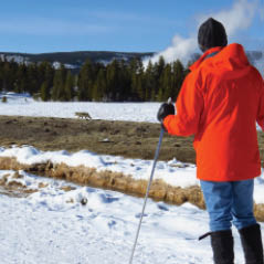 snowshoe