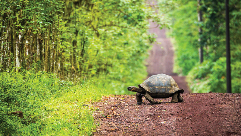 Ecuador e3