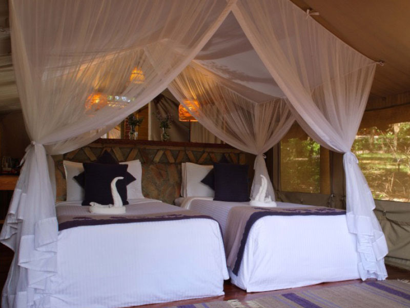 tented camp