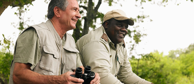 safari