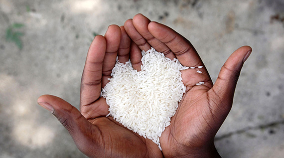 Image result for rice in hand