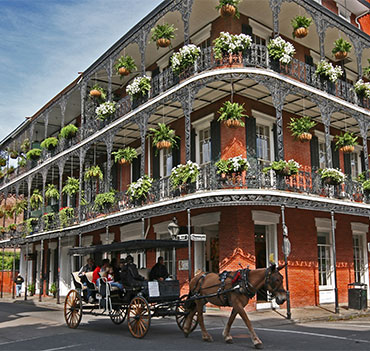 spotlight new orleans