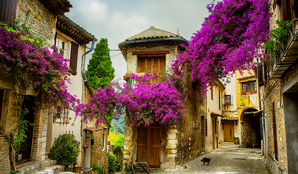france magnifique