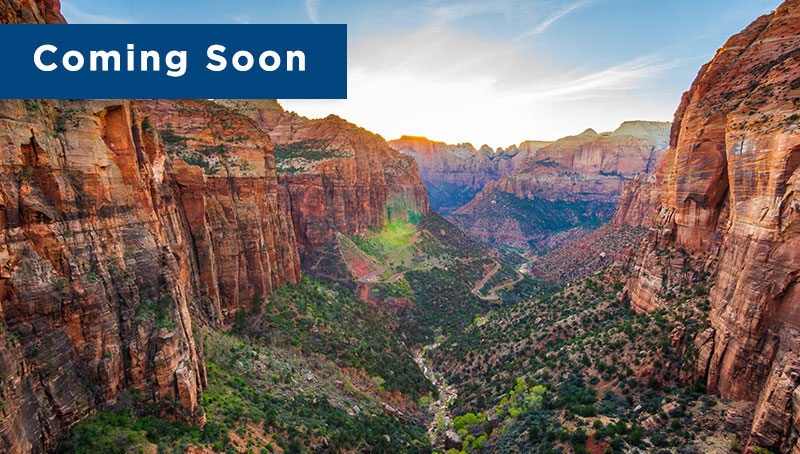 canyons coming soon