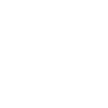 southeast fun facts grid