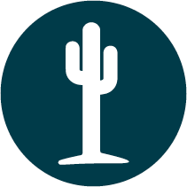 cactus icon