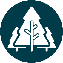 trees icon