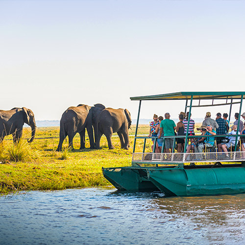 Group on a boat looking at elephants