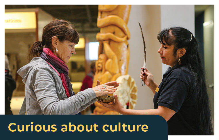 Curious about culture