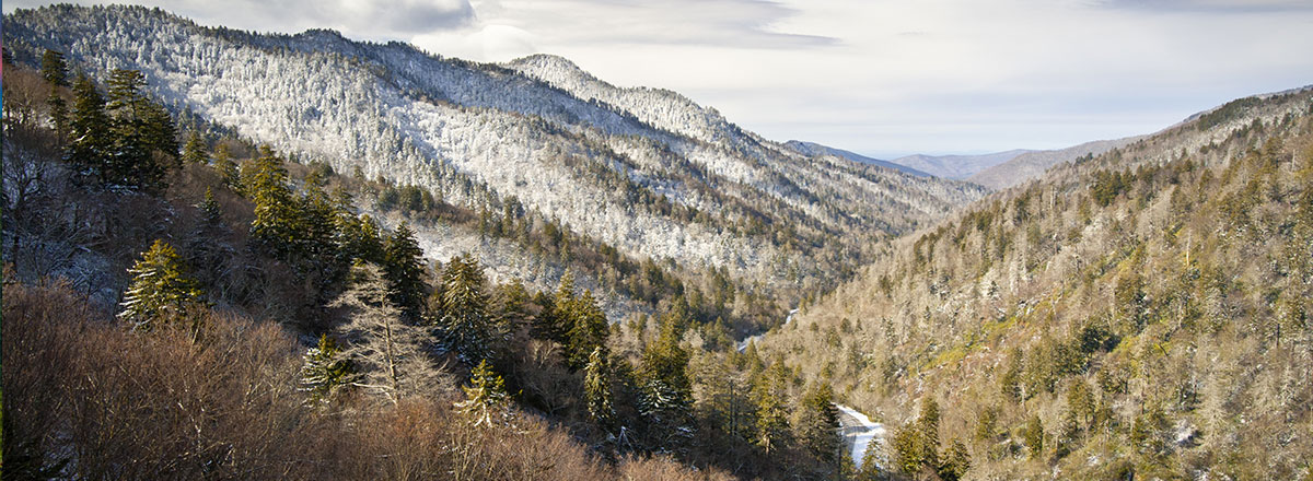 BlueGrassSmokeyMountainsHoliday Hero
