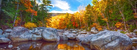 new england charm fall hero 3