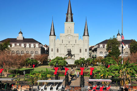 spotlight nola holiday search
