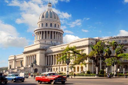 spotlight on havana search