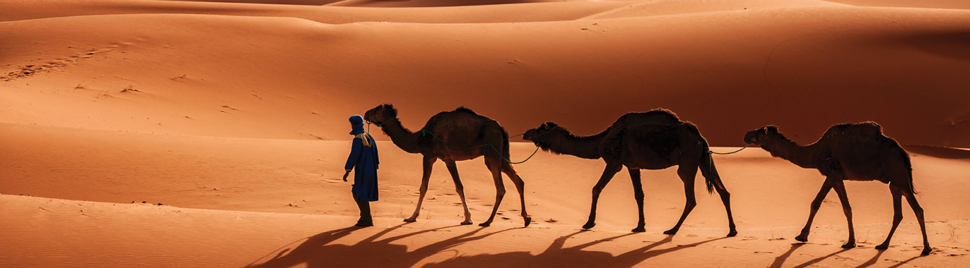 TS56 Colors of Morocco TS56 Colors of Morocco