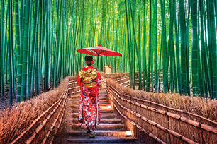 TS746 Journey through the Heart of Japan NEW TourCard
